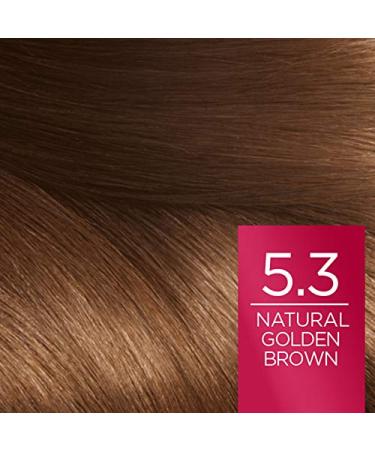 L'Oreal Paris Excellence 5.3 Golden Brown Hair Color - Pack of 3 | International Shipping Available - Buy Online on SooperMarket.com