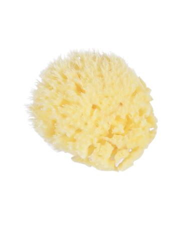 Honeycomb Sponge sponges for bathing Natural Sponge Bath Shower Sponge face scrubber compressed sponges facial scrubber bath sponge bath scrubber face sponge baby Greece Body