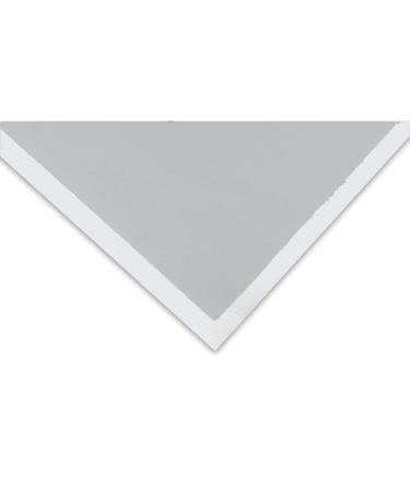Art Spectrum Colourfix Original Coated Pastel Paper - 9 x 12  Fresh Gray