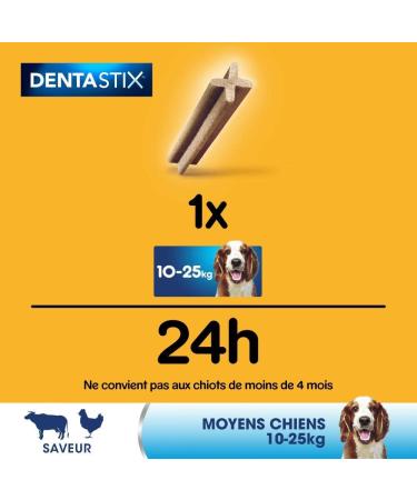 Buy Pedigree Dentastix for Dogs 3.36 kg - Chewy Dental Treats for Fresh Breath & Healthy Teeth | International Shipping Available - Buy Online on SooperMarket.com
