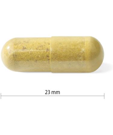 Progressive MultiVitamin for Women 50+ - 120 Capsules | Made with Green Food Concentrates Damiana Green Tea and Antioxidants. - Buy Online on SooperMarket.com