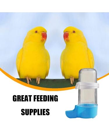 Pet Bird Cage Food Feeder Bird Water Bottle Parrot Automatic Water Feeder Water Drinker Food Feeder Waterer Clip Feeder Cage Accessories for Parrot Budgie Lovebirds Cockatiel Parakeet Cockatoo - Buy Online on SooperMarket.com