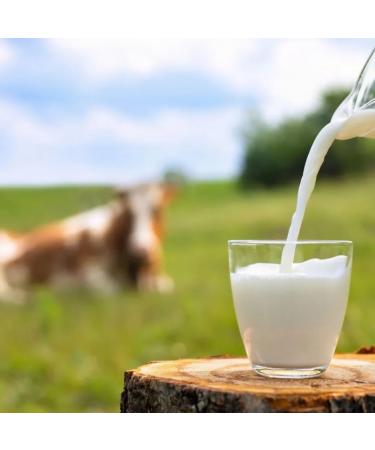 Lakeland Semi-Skimmed Milk 1000 ml (Pack of 12) - Buy Online on SooperMarket.com