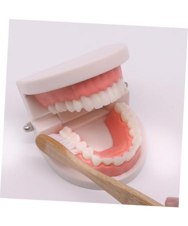Shop Minkissy 3 Sets Early Education Tooth Toys for Toddlers - Montessori Standard Reusable Kids' Dental Learning Toys - Buy Online on SooperMarket.com