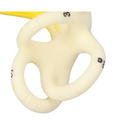 Highly Detailed Inner Ear Labyrinth Model - 5X Magnification PVC Semicircular Canal - Ideal for Teaching and Education - Buy Online on SooperMarket.com