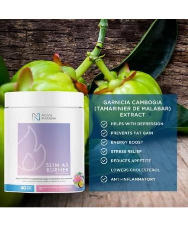 Nova Pharma Pre Workout Powder - Garcinia Cambogia - L Carnitine Supplement - Chromium Supplement - 40 Servings (Lotus & Passion fruit) - Buy Online on SooperMarket.com
