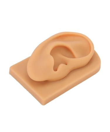 Soft Silicone Kadimendium Ear Model - Waterproof and Easy to Observe | Right Ear Model for Display - Buy Online on SooperMarket.com