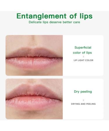 Avocado Lip Balm with Vitamin E | Moisturizing & Nourishing | Reduce Fine Lines | Long-Lasting Protection - Buy Online on SooperMarket.com