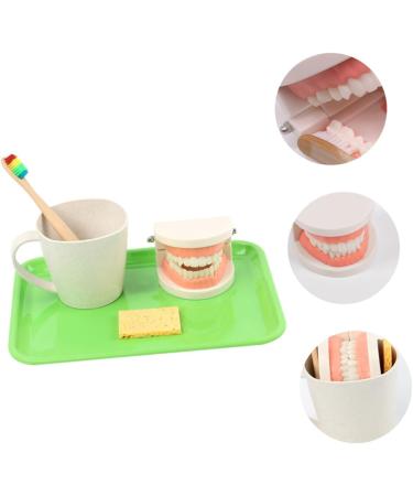 Shop Healvian 3 Sets Early Dental Education Toys - Wooden Denture Model for Kids | Reusable Toiletries - Buy Online on SooperMarket.com
