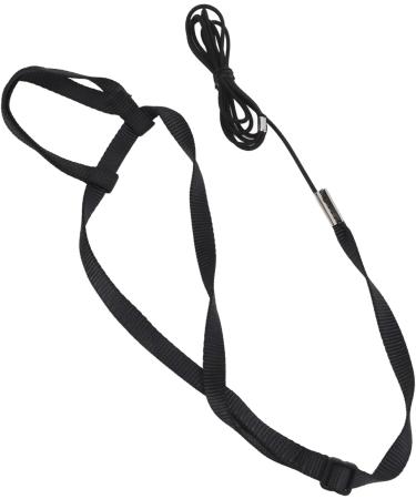Buy Adjustable Bird Dishes & Leash for Parrots - PAPPAGIES-ACHRINE - Perfect for Gray Cockatoos & Black Cockatoos - International Shipping Available - Buy Online on SooperMarket.com