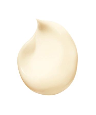 Ren Furterer KARITE NUTRI Intense Nourishing Day Cream for Very Dry Damaged Hair - 3.3 Fl Oz - Buy Online on SooperMarket.com