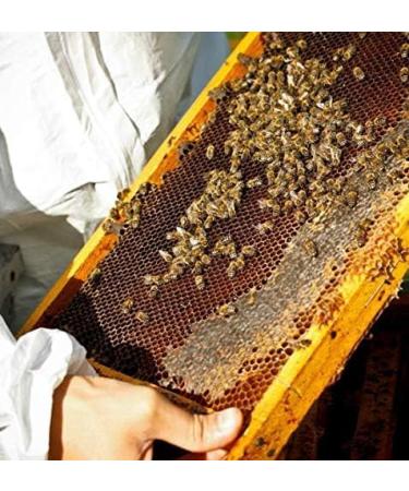 Moroccan Argan Honey 300 g - Buy Online on SooperMarket.com