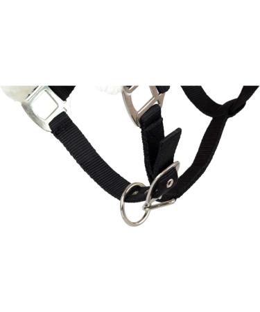Shop Marengos Halter Set with Lead Rope - Elegant Black or Rose Gold for Ponies | International Shipping Available - Buy Online on SooperMarket.com