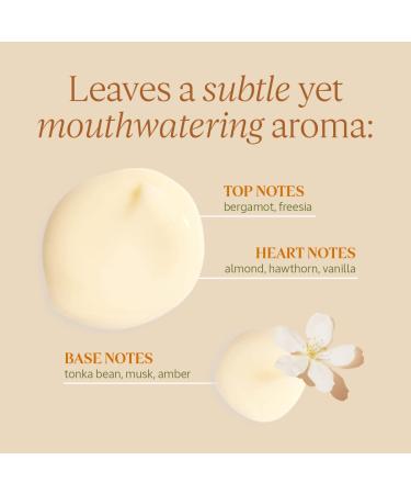 L'Occitane Almond Oil Conditioner 8.1 Fl Oz | All Hair Types - Buy Online on SooperMarket.com
