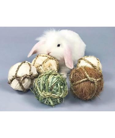 Camiter 9-Piece Chewing Toy Set for Small Animals | Hamsters Rabbits Guinea Pigs & More - Durable Chew Cases & Cube Toys - Buy Online on SooperMarket.com