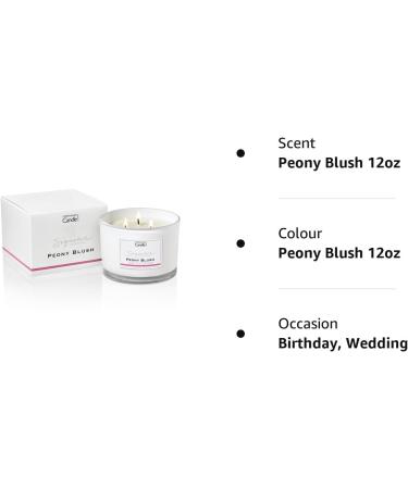 Luxury Scented Candle Gift for Women | 35-Hour Burn Time | Natural Wax Blend | Hotel Collection | Peony Blush by The Copenhagen Company - Buy Online on SooperMarket.com