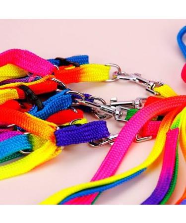 Hypeety Rainbow Design Pet Bird Harness & Leash | Outdoor Anti-Bite Training Rope for Macaw & Large Birds | Adjustable & Safe Parrot Leash (L 1.5cm 47.24in) - Buy Online on SooperMarket.com