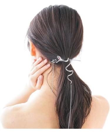 WEBEEDY 2 Pieces Snake Hair Sticks Vintage Tassels Punk Hair Chopsticks Distortion Hairpin Hairstyle Hair Accessories for Women - Buy Online on SooperMarket.com