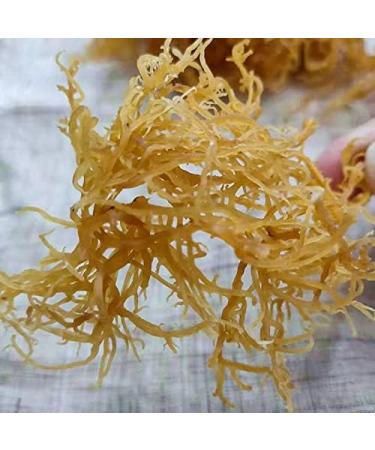 Gold Sea Moss Chinese Dried Seamoss for Food 250G - Buy Online on SooperMarket.com