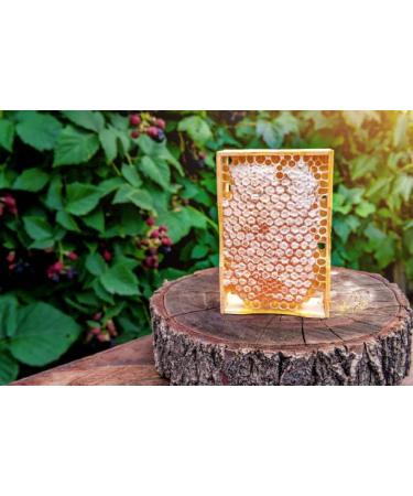 100% Natural Honeycomb Wildflowers Pure Raw Honey Comb (600 grams) - Buy Online on SooperMarket.com