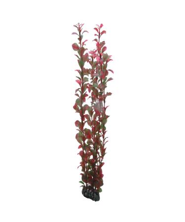 Hobby Ludwigia 60 cm