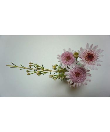 Eco-Friendly Lotus Shaped Clay Floral Holder for Happy and Wealthy Floral Arrangements - White, 2.76 inches - Buy Online on SooperMarket.com