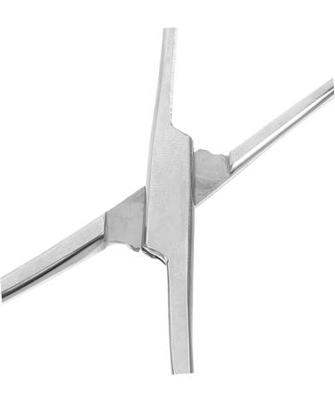 Kisangel Reptile Feeding Clip Terrarium Supplies Snake Tank Accessories Stainless Steel Silver - Buy Online on SooperMarket.com