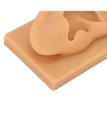 Soft Silicone Kadimendium Ear Model - Waterproof and Easy to Observe | Right Ear Model for Display - Buy Online on SooperMarket.com