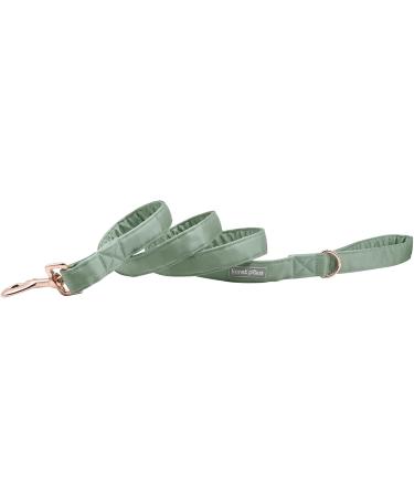 Shop Lionet Paws Silk Dog Leash - Perfect for Small & Medium Dogs - XS Size - Ideal for Boys & Girls - Buy Online on SooperMarket.com