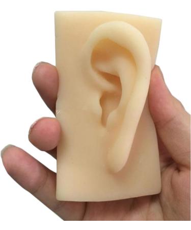 Human Ear Model Flexible Soft Silicone Imitation Real Ear Teaching Model -1 Pair Ear Mold Artificial Display Sample Educational Resources in Scienc - Buy Online on SooperMarket.com