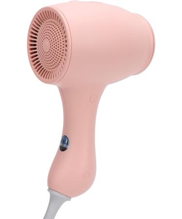 Kids Hair Dryer for Infant Low Heat Gentle Air Small Hair Blow Dryer for Baby Skin with 3 Speed Settings Negative Ionic Constant Temperature Mini Hair Dryer for Daily Use (US US Plug 110V - Buy Online on SooperMarket.com