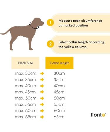 Lionto Dog Collar for Retrievers - 45 cm Red Training Collar | Durable & Adjustable - Perfect for Training & Daily Use - Buy Online on SooperMarket.com
