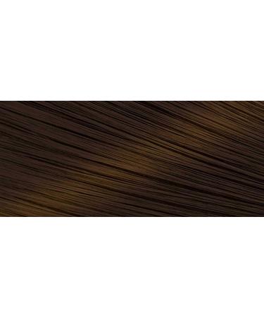 Bigen Speedy Chestnut Color Refill 3 Pack - Hair Coloring Product - Buy Online on SooperMarket.com