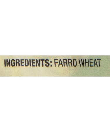 Nature's Earthly Choice Organic Farro  14 Ounces (Pack of 6) - Buy Online on SooperMarket.com
