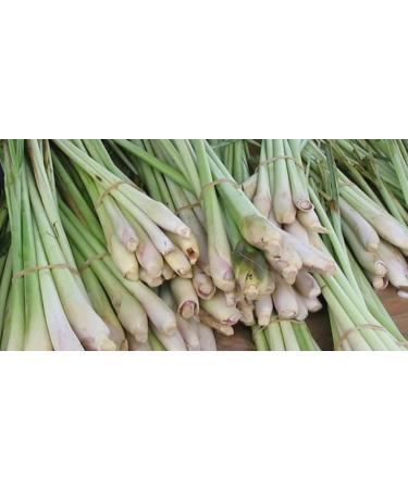dried lemongrass for tea 50g - Buy Online on SooperMarket.com