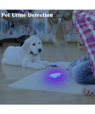 Beike UV Flashlight Black Light - 12 LED Mini Pet Urine Detector & Resin Curing UV Flashlight - Buy Online on SooperMarket.com