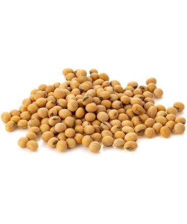Manor Springs Organic 1kg Organic SOYA Beans - High Quality and Nutritious - Buy Online on SooperMarket.com