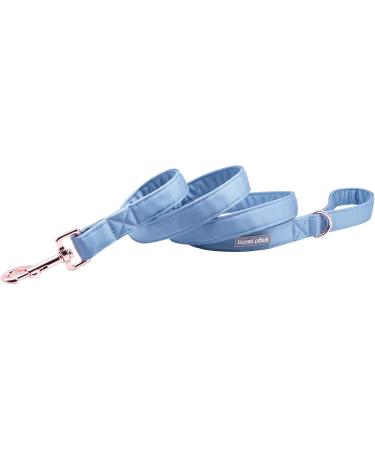 Lionet Paws Dog Leash - Stylish Silk Leash for Small Medium & Large Dogs | Matching Collars Available | Blue XS Leash (Pack of 1) - Buy Online on SooperMarket.com