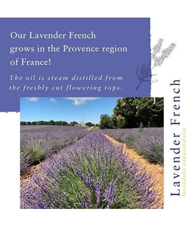 Absolute Aromas French Lavender Essential Oil 30ml - 100% Pure, Natural, and Cruelty-Free - Ideal for Diffusers and Aromatherapy Blends - Buy Online on SooperMarket.com