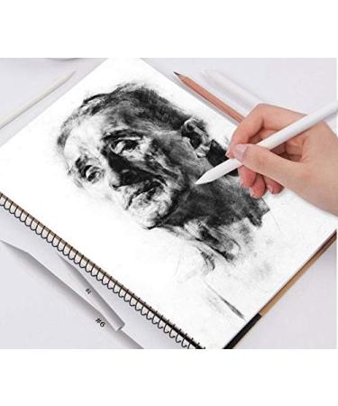 Blending Stumps and Tortillions Set with 2 Pieces Sandpaper Pencil Sharpener  1 Eraser Sketch for Student Sketch Drawing kit (6 pcs +4) - Buy Online on SooperMarket.com