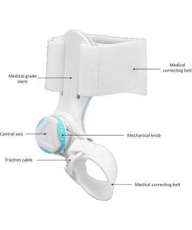 Pyhodi Foot Bone Toe Separator Splint - Orthopedic Training Aid for Toe Corrector and Alignment - Buy Online on SooperMarket.com