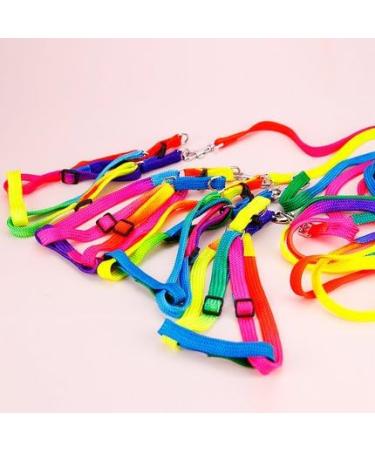 Hypeety Rainbow Design Pet Bird Harness & Leash | Outdoor Anti-Bite Training Rope for Macaw & Large Birds | Adjustable & Safe Parrot Leash (L 1.5cm 47.24in) - Buy Online on SooperMarket.com