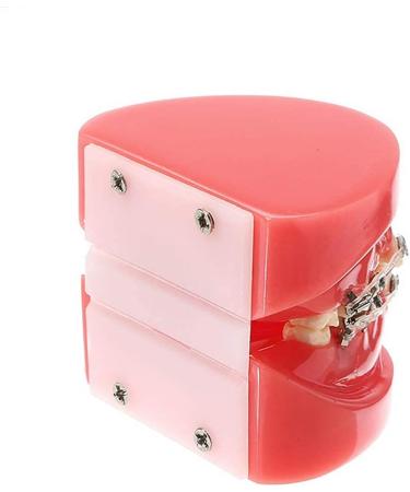 Buy Model Doll-10 Orthodontic Braces for Adults | Ceramic Demonstration Teeth | Mobile Medical Science & Teaching Research - Buy Online on SooperMarket.com