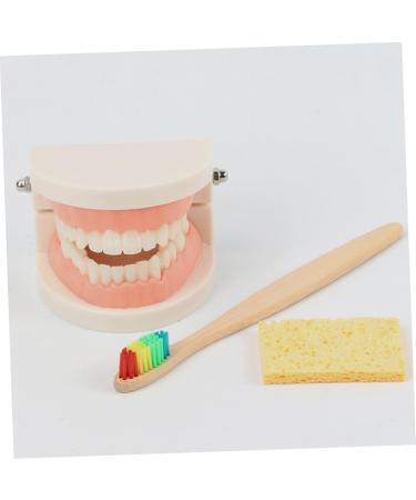 Frcolor Early Dental Education Role-Playing Toys | Wooden Puzzle for Kids & Toddlers - Learn to Brush Teeth Fun! - Buy Online on SooperMarket.com