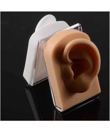 3 Pc Silicone Ear Model - Simulation Artificial Ear Model - for Hearing Aids Wearing & Ear Canal Products Display Right - Buy Online on SooperMarket.com
