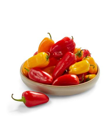 Pepper Sweet Mini Organic, 16 Ounce 1 Pound (Pack of 1)