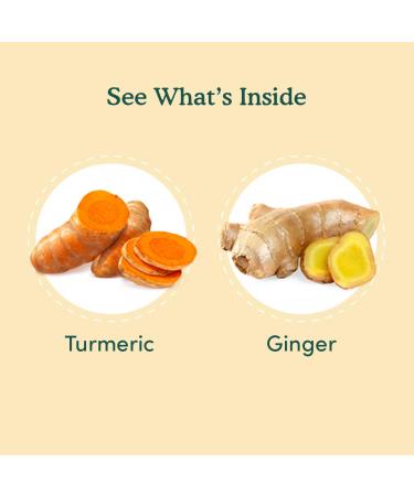 Vahdam Herbal Tea - Caffeine-Free Turmeric Ginger Infusion Bags (15 Bags, 1.06 oz) - Buy Online on SooperMarket.com