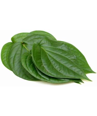 Seelans Fresh Beetle Leaves 25pcs | Pan Leaves Fresh Leaf | Used for Pooja & Edible | Indian | Next Day Shipping