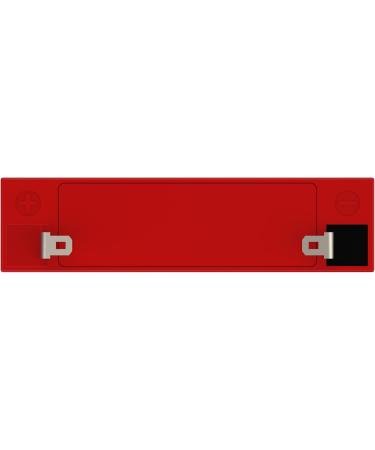 Neptune NT613 6V 1.3Ah Replacement SLA Battery for PE6V1.2F1 - Reliable Emergency Lighting Solution | International Shipping - Buy Online on SooperMarket.com