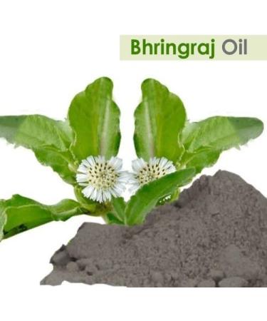 100% Pure Salvia Bhringraj Oil - Natural Cold Pressed for Aromatherapy Skin Care & Hair | Therapeutic Grade Eclipta Alba | 1 Fl Oz - Buy Online on SooperMarket.com